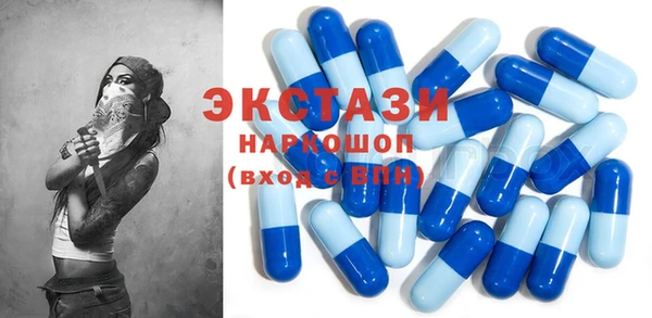 ECSTASY Богданович