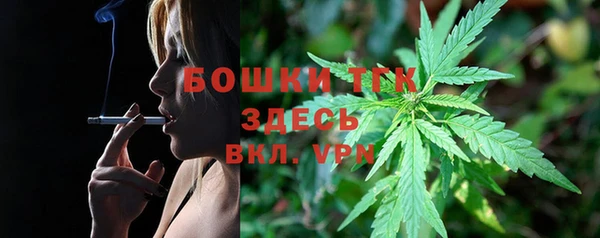 Альфа ПВП Богородицк