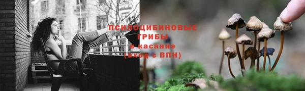 Альфа ПВП Богородицк