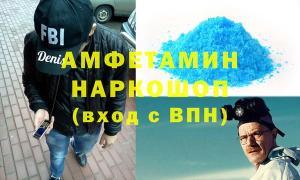 ECSTASY Богданович