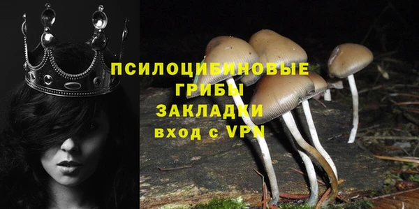 ECSTASY Богданович