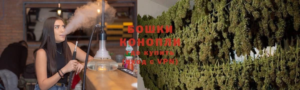 дмт Калининец